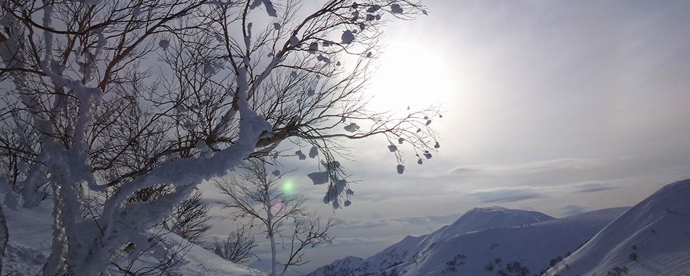 Kokusai Ski Area