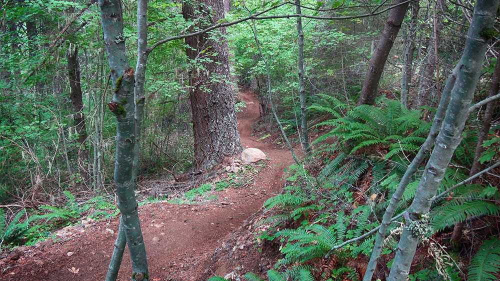 oakridge-trail